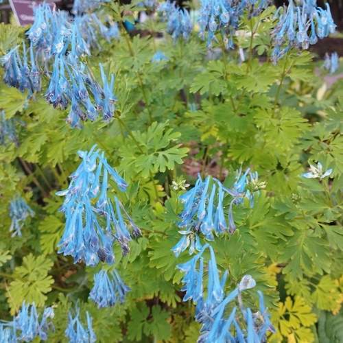 Photo #13171416