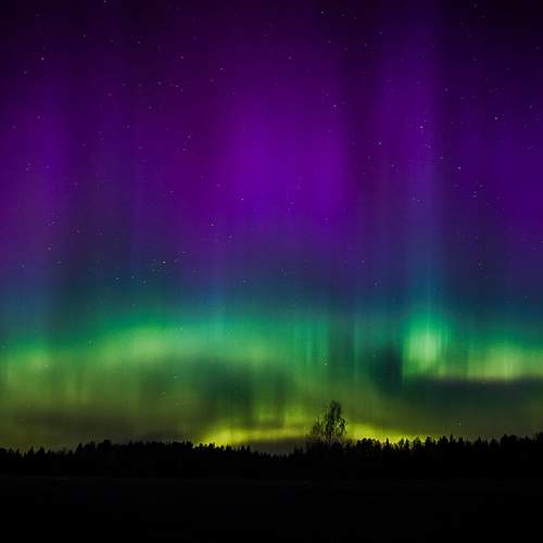 Photo #13171737