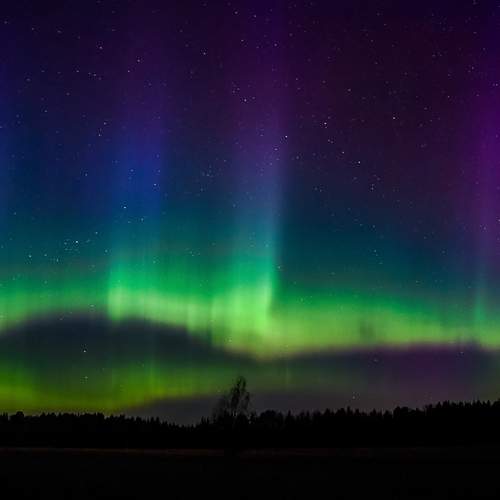 Photo #13171745