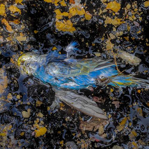 Photo #13171884