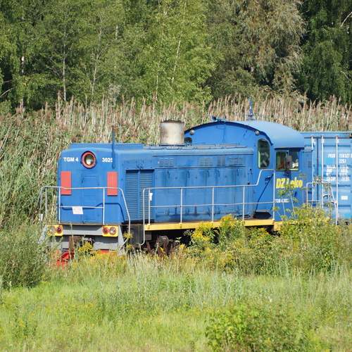 Photo #13171888