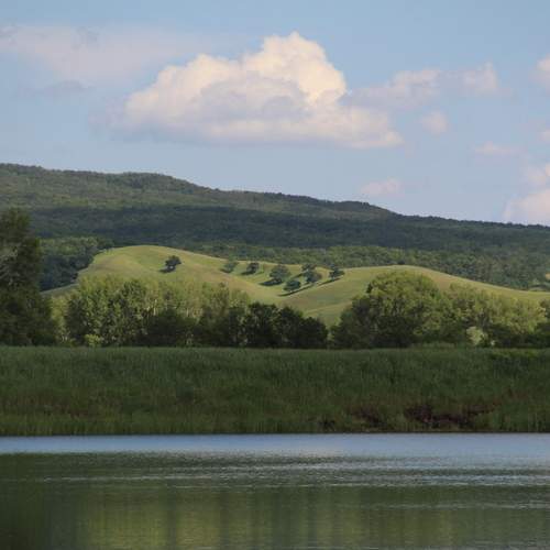 Photo #13172028