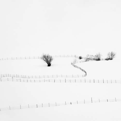 Photo #13172207
