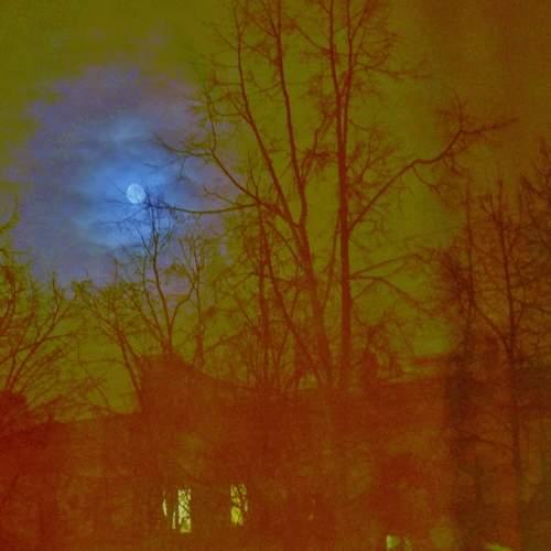 Photo #13172214