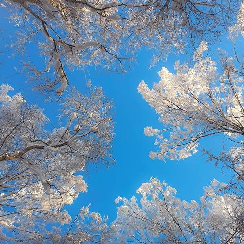 Photo #13172224