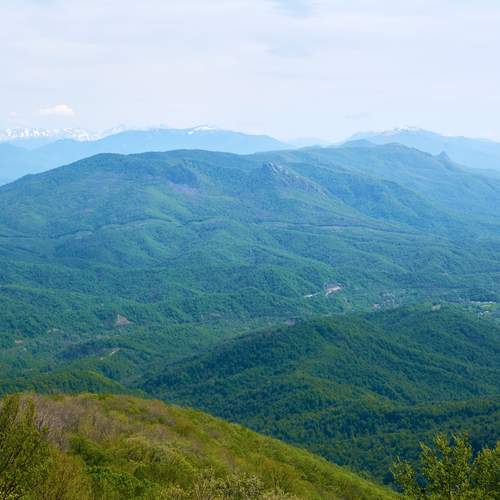 Photo #13172243