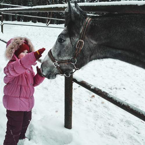 Photo #13172313