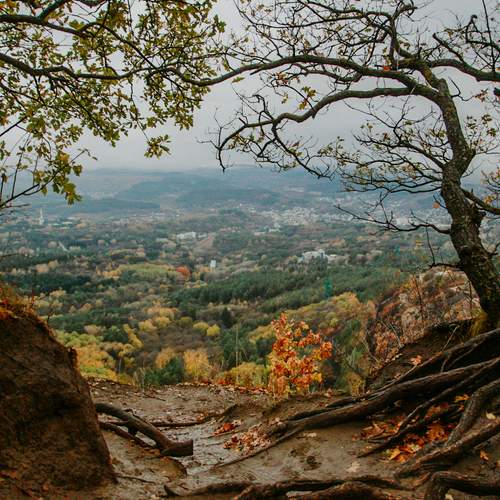 Photo #13172351