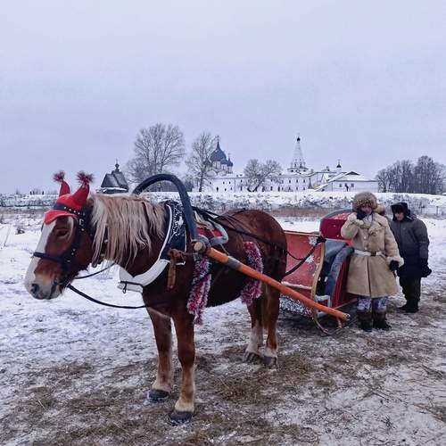 Photo #13172398