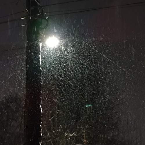 Photo #13172426