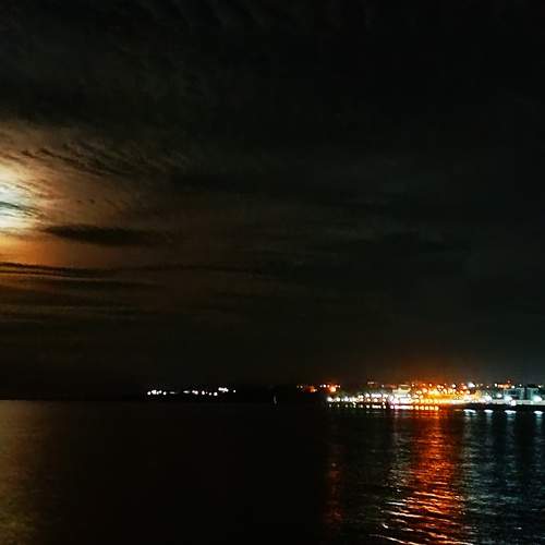 Photo #13172445