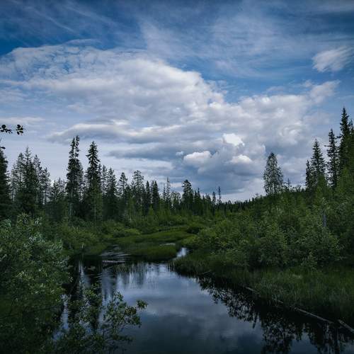 Photo #13172534