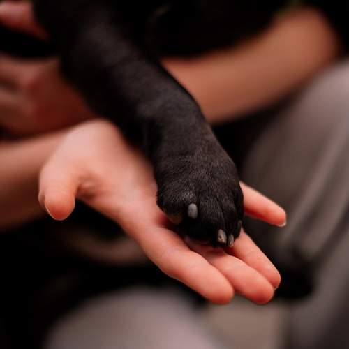 Photo #13172553