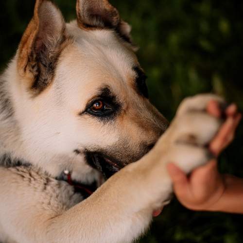 Photo #13172555