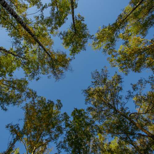 Photo #13172581