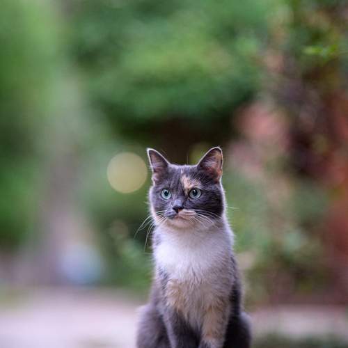 Photo #13172696