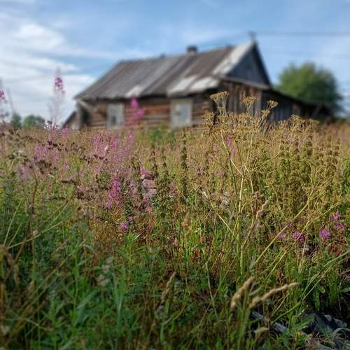 Photo #13172790