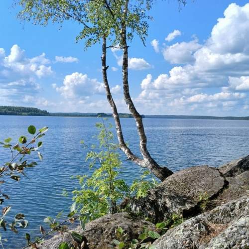 Photo #13172804