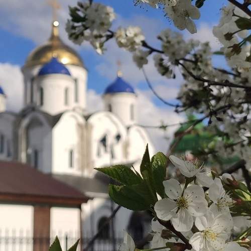 Photo #13172817
