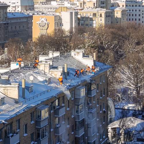 Photo #13172834