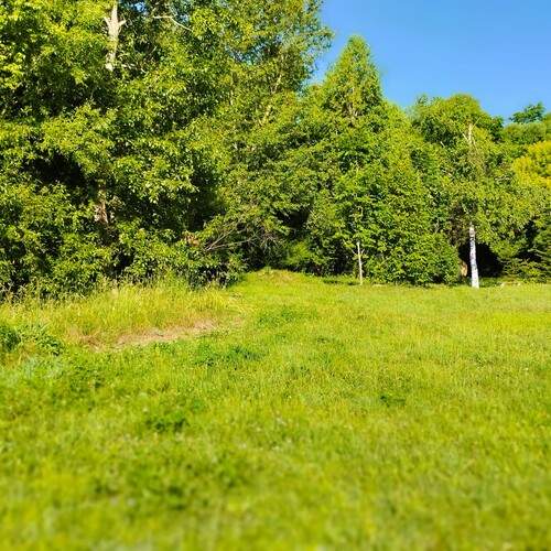 Photo #13172841