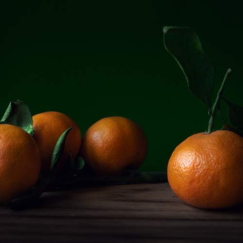 Photo #13172884