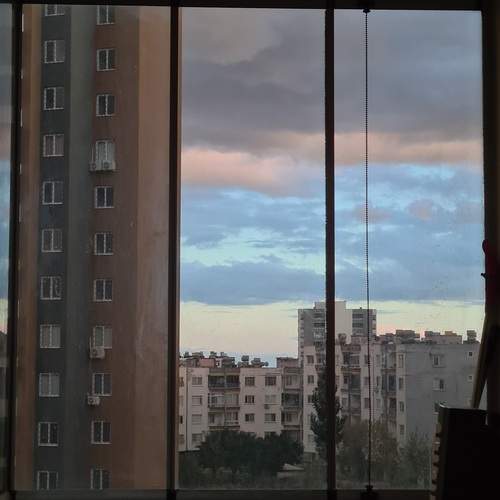 Photo #13172940