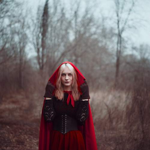 Photo #13172956