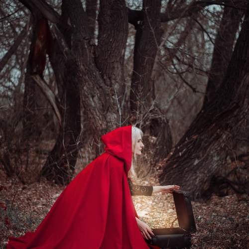 Photo #13172957