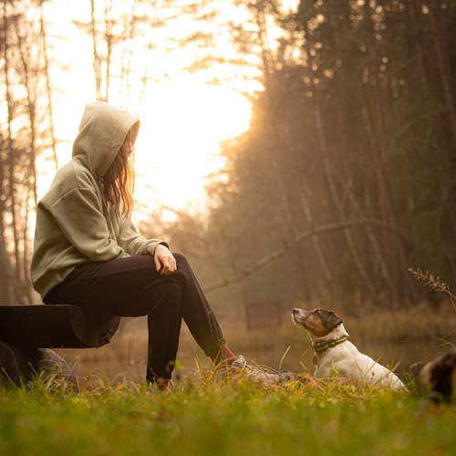 Photo #13172960
