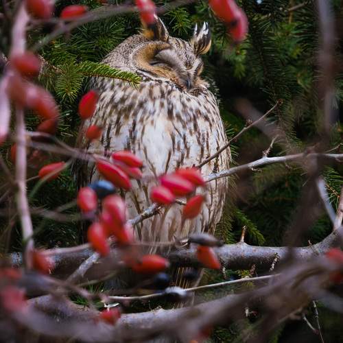 Фотография #13173033