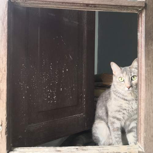 Photo #13173047