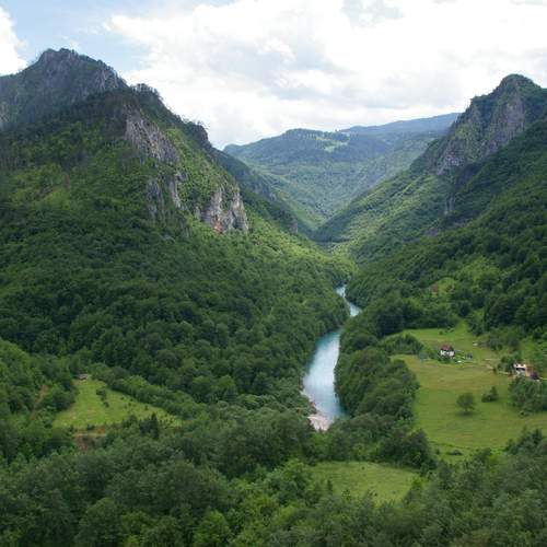 Photo #13173133