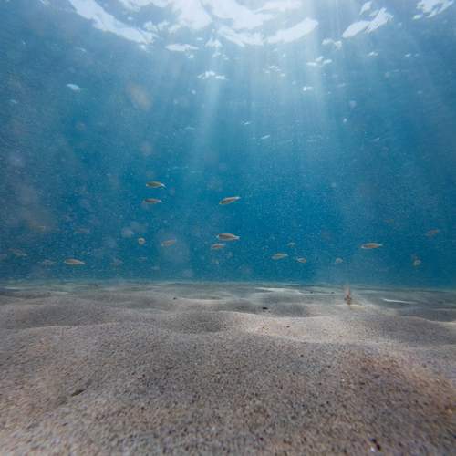 Photo #13173180
