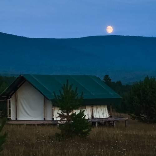 Photo #13173245