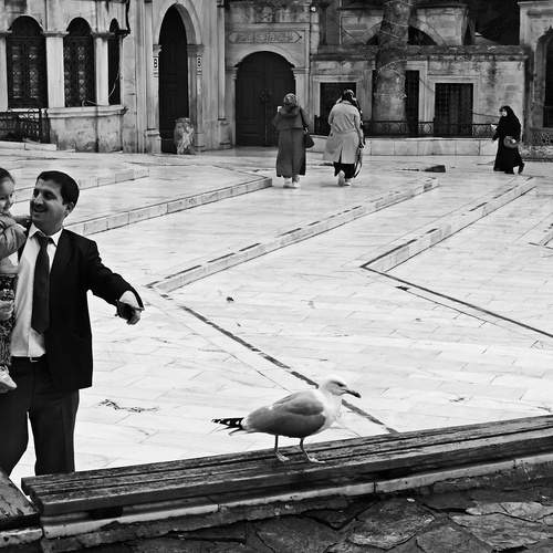 Father holding child in a historic courtyard