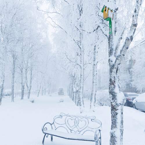 Photo #13173328