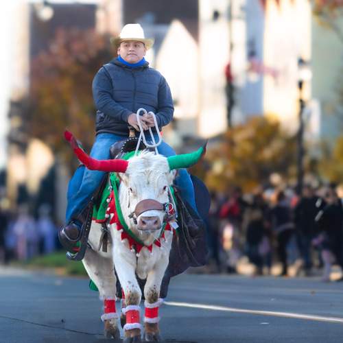 Photo #13173417