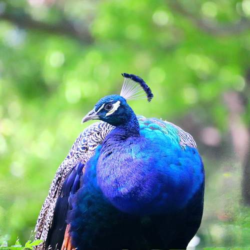Photo #13173480