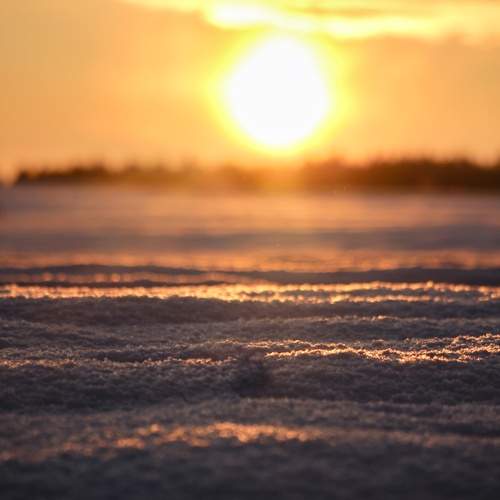 Photo #13173559
