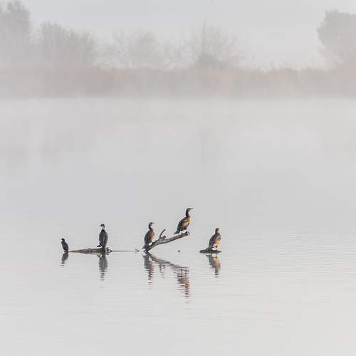 Photo #13173654