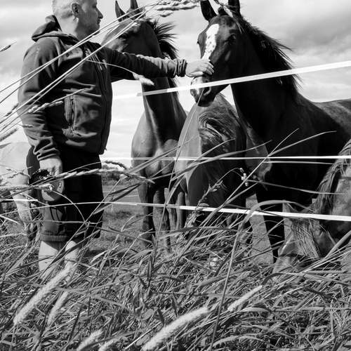 Photo #13173712