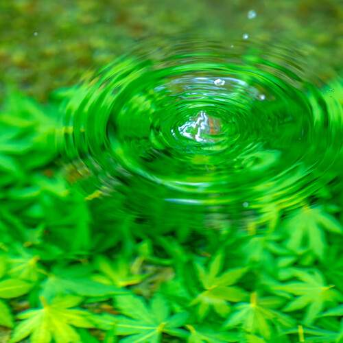 Фотография #13173752