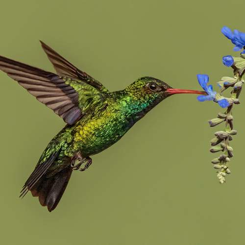 Фотография #13173788