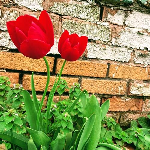 Photo #13174037
