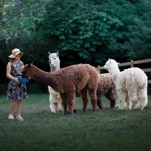 Photo #13174058