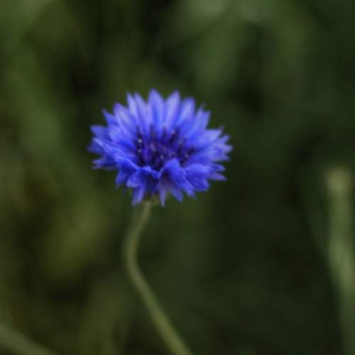 Photo #13174214