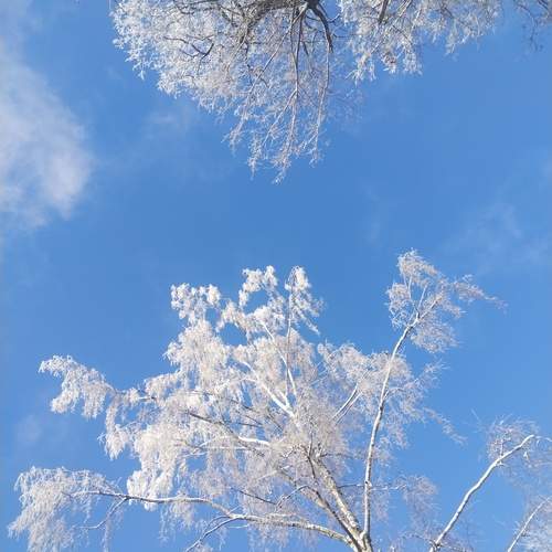 Photo #13174468