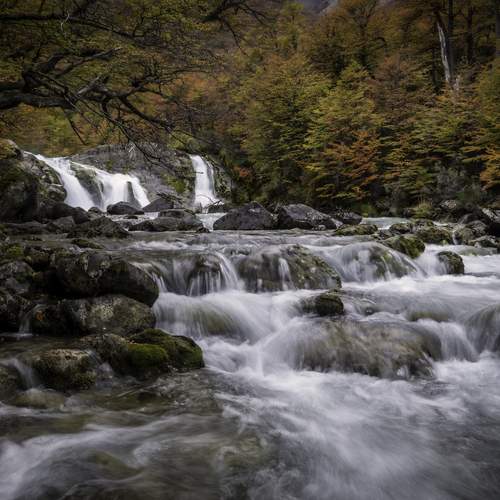 Photo #13174480