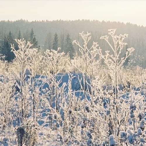 Photo #13174505